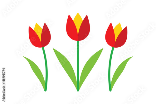 red tulips on white background