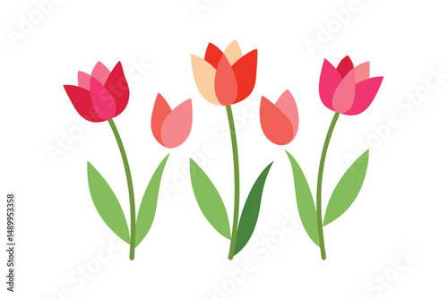 red tulips on white background
