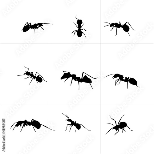 Ant black and white vector set