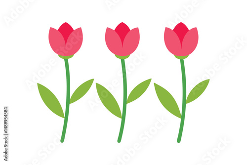 red tulips on white background