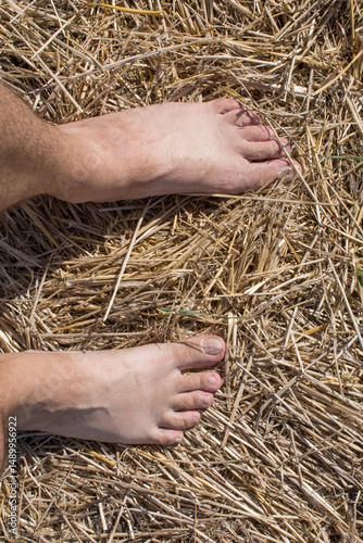 Bare feet on hay, connection with nature, summer serenity, and freedom