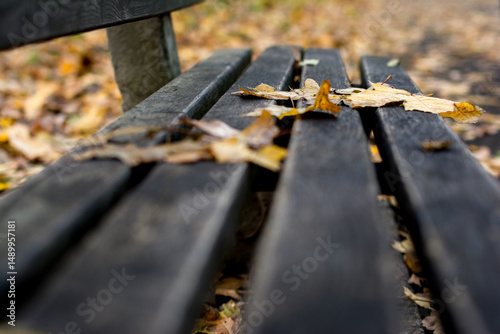 Dry autumn leaves on wooden bench in park, shallow depth of field