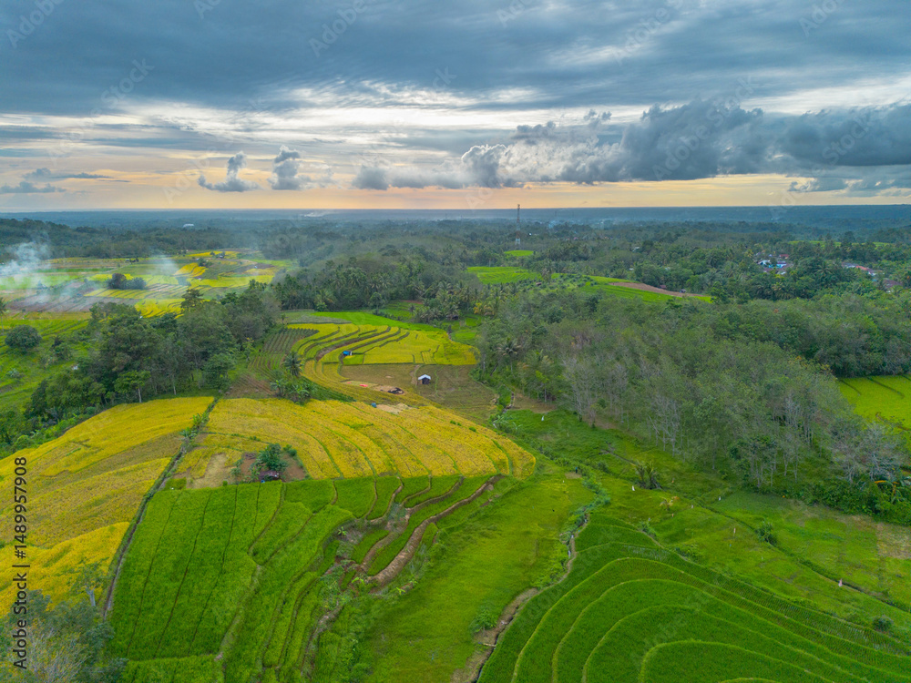 Fototapeta premium beautiful morning view indonesia panorama landscape paddy fields with beauty color and sky natural light