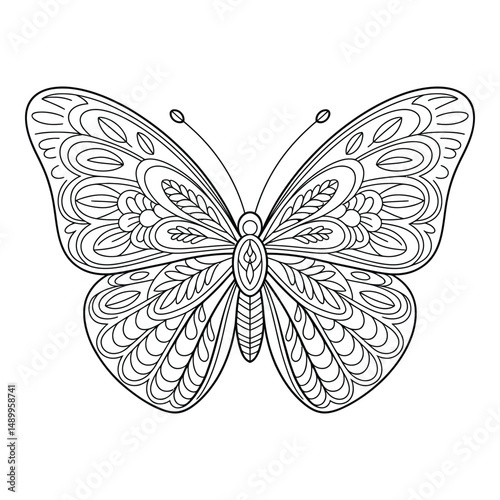 Mandala butterfly with floral Coloring Page, Silhouette, Vector, Illustration, Icon, Logo, White Background.
