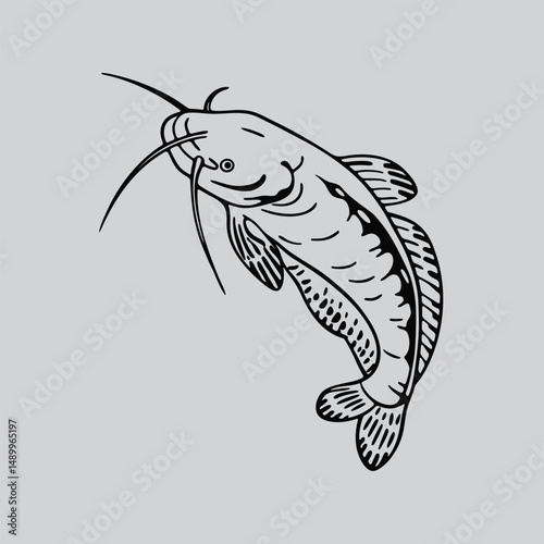 Dynamic Catfish Sketch Art