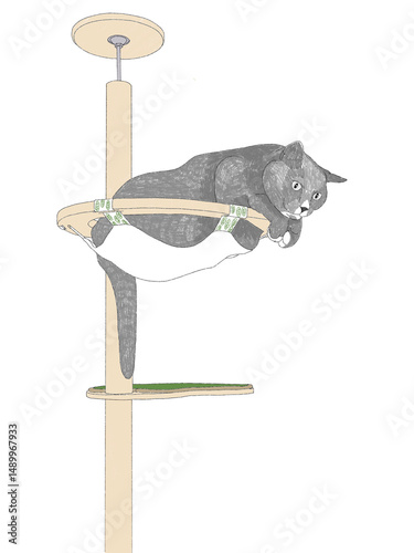 a cat bigger than a hammock