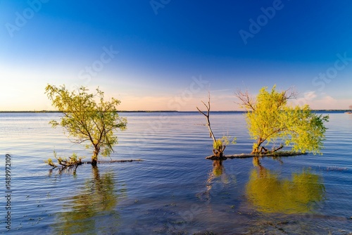 Serene lake scene with reflecting trees at sunset in Lake Tawakoni State Park, Texas