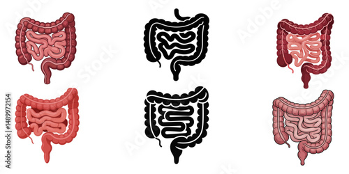 Intestine icon. Bowel symbol. Human anatomy, guts or intestinal tract vector illustration. Digestion sign. Abdominal gastric belly icon isolated, Healthy and unhealthy gut comparison, Human intestines