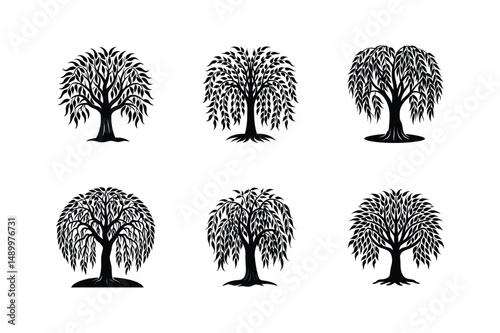 willow silhouette vector illustration