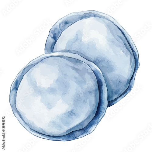 Pair Of Reusable Cotton Pads, watercolor drawing vector, high quality, isolated on a white background.