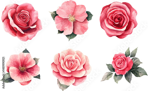 Watercolor Pink Rose Flower Clipart