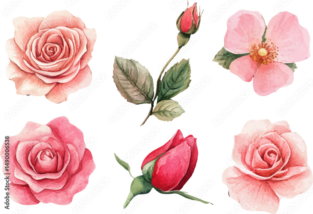 Naklejka premium set of pink roses