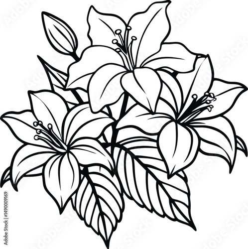 White Lily Flowers Arrangement with Leaves Sketch