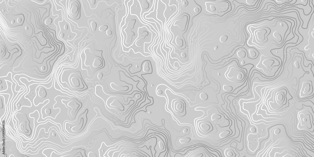 Obraz premium Vector grid map.Topographic contour map on white background. 