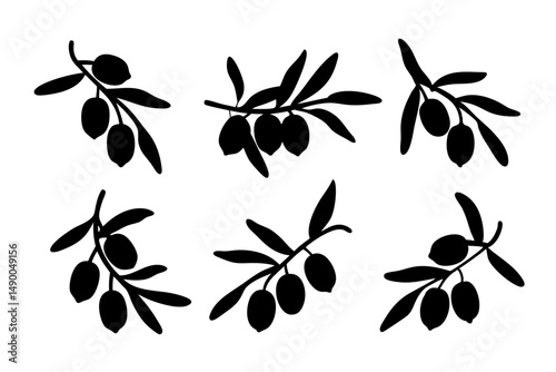 set of olive branches black silhouette vector illustration