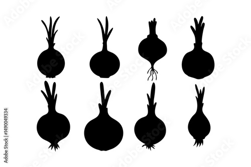 set of onion bulbs with roots black silhouette vector illustration