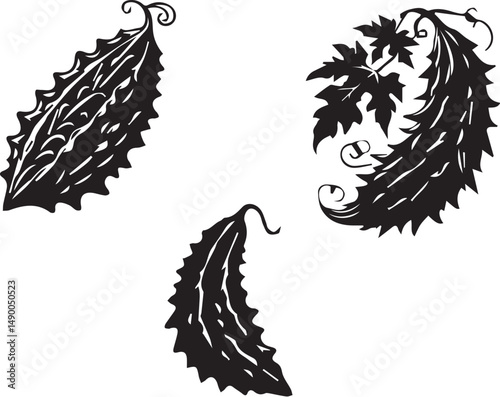 Bitter Gourd Silhouette Vector Set – Fresh Vegetable Outlines and Organic Food Designs for Health, Cooking, and Garden Projects