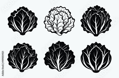 Lettuce silhouette, Leaf vegetable, Salad icon
