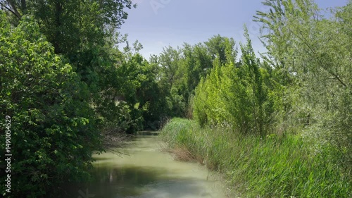 A calm river flows between green trees in summer, captured in slow motion with stable framing and natural light, evoking serenity and balance
