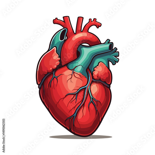 human heart Cartoon Vector Icon Illustration.Flat Cartoon Style illustration vector