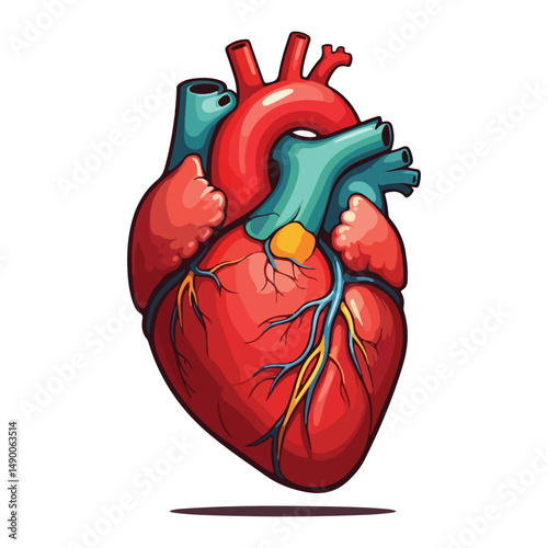 human heart Cartoon Vector Icon Illustration.Flat Cartoon Style illustration vector