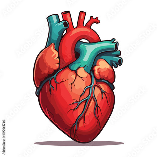 human heart Cartoon Vector Icon Illustration.Flat Cartoon Style illustration vector