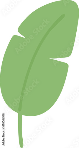Illustration of a Green Banana Leaf
