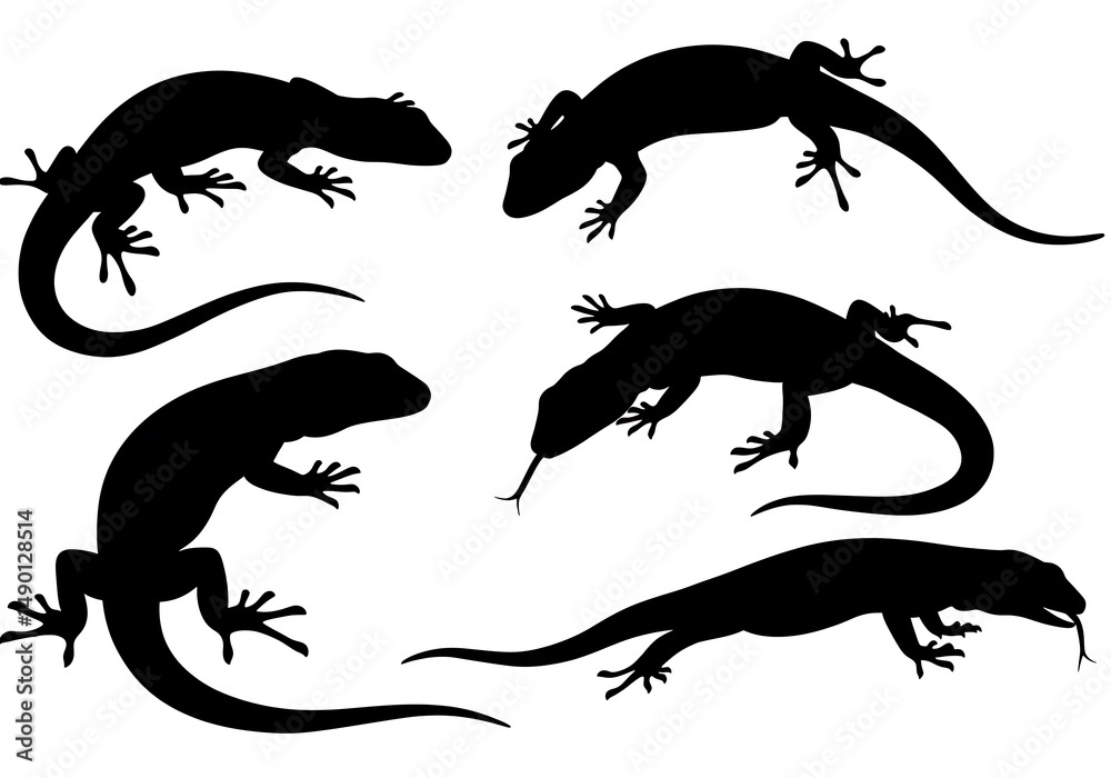Fototapeta premium Silhouette Lizards: A Study in Scales