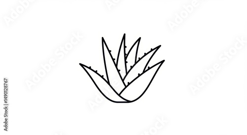Aloe plant illustration