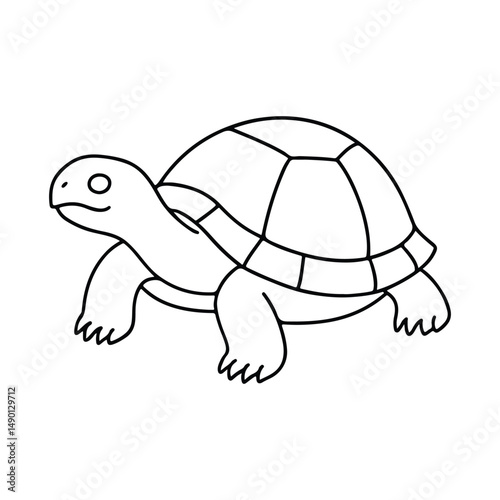 funny turtle cartoon
