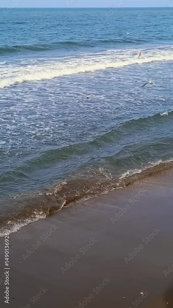 custom made wallpaper toronto digitalWaves on the beach, Black sea coast 