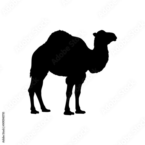 Camel silhouette icon vector flat design on white background.