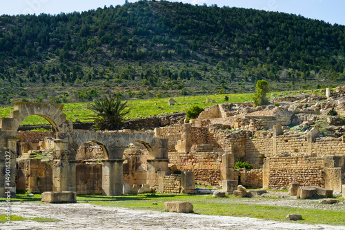 L'area archeologica di Phradi Majus con i resti dell'antico insediamento Romano. Sousse Governorate, Tunisia