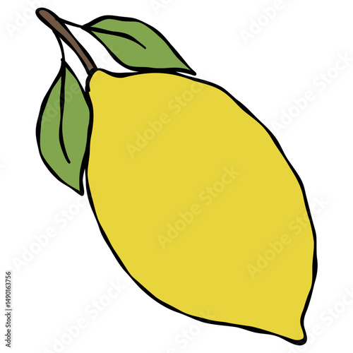 Hand drawn vector illustration of yellow lemon flat design whimsical clipart