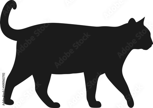 Black animal silhouette vector illustration of a cat, isolated as an icon photo