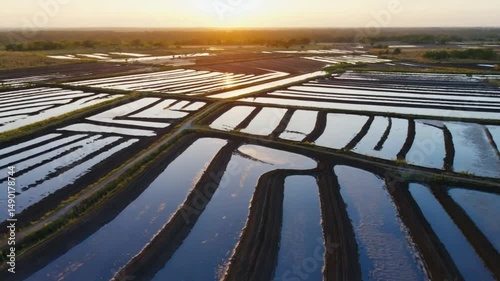 Wallpaper Mural Aerial view of irrigated rice paddies Torontodigital.ca