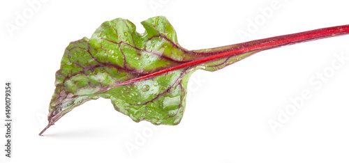 Bright and healthy beetroot leaf close-up isolated on a white background. full depth of field