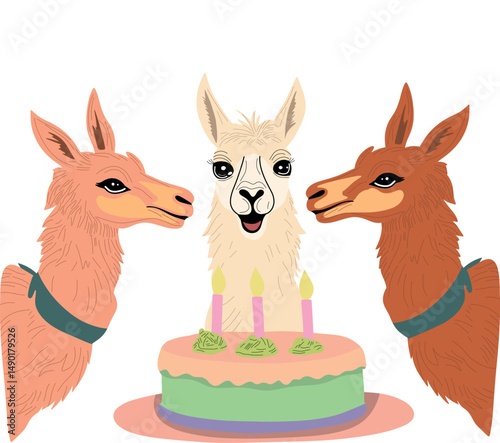 Andean animal throwing a susprise party