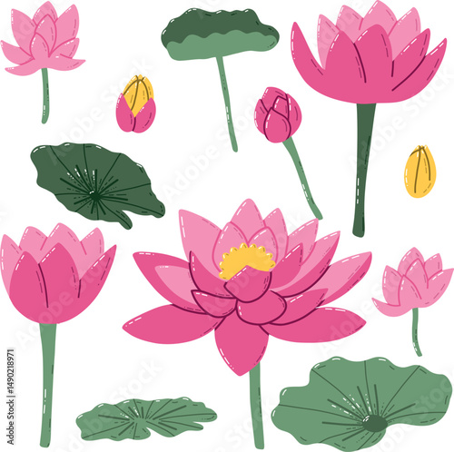 Colorful Botanical Illustration of Lotus Flowers, Seedpods, and Leaves on White Background. Elegant hand-drawn illustration showcasing detailed lotus flowers, leaves, and seedpods in vibrant colors