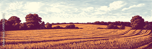 Field landscape. Editable hand drawn illustration. Vector vintage engraving. 8 EPS