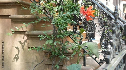 New York City townhouse building, Brooklyn Heights residential district, USA. Brownstone urban architecture, attached house. United States real estate, american property, apartments and homes in NYC.