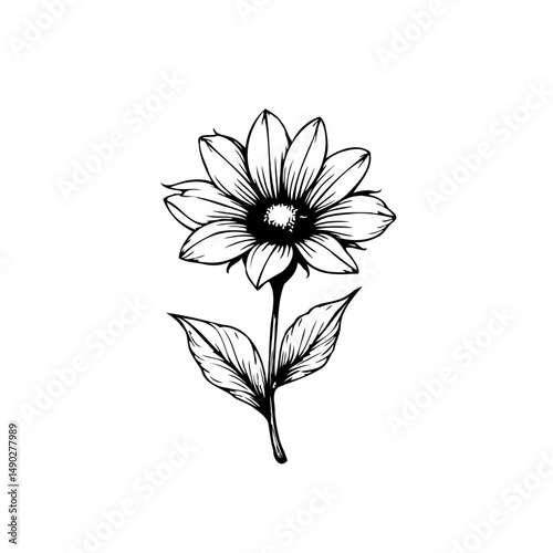 Elegant monochrome floral illustration of blossoming flower on minimalist background