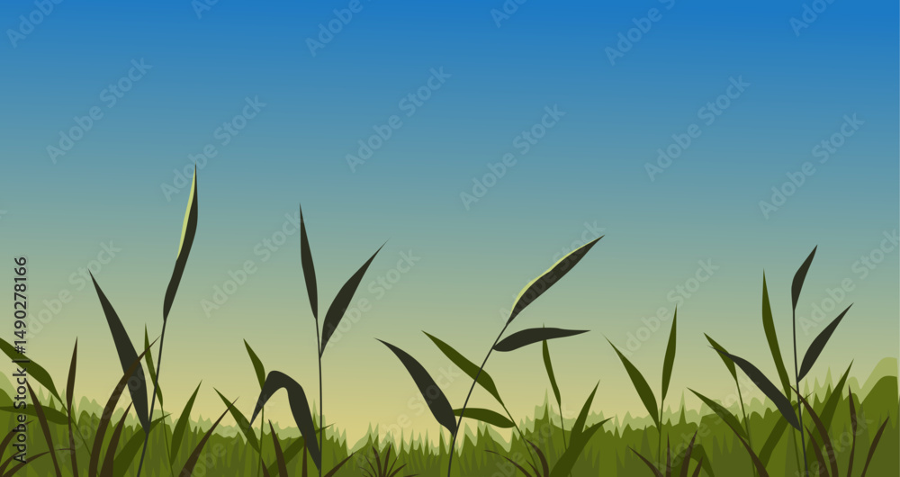 Fototapeta premium Rice field landscape