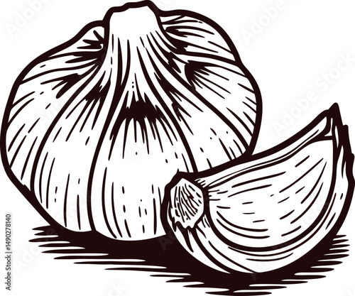 Black and white sketch of garlic bulb and clove with detailed lines for culinary art