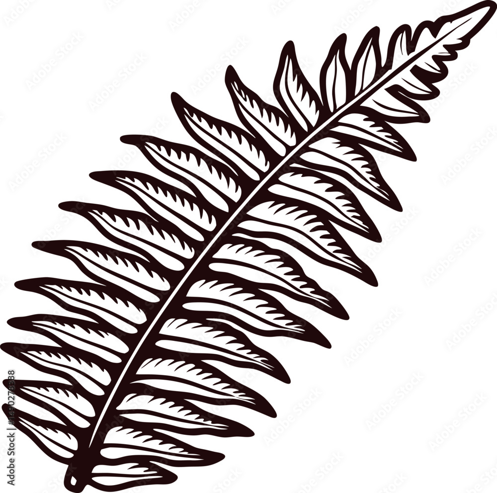 Fototapeta premium Intricate black and white of a fern leaf highlighting nature's elegance