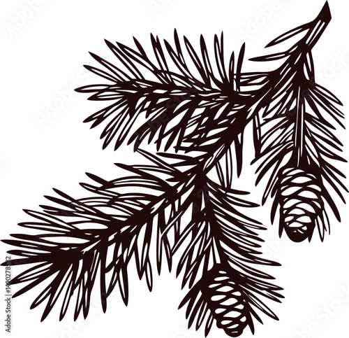 Detailed black and white pine branch with cones sketch