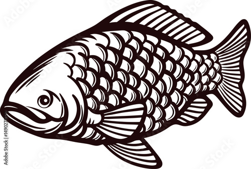 Black and white of a detailed fish with scales and fins