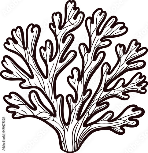 Detailed outline of coral branches showcasing natural marine patterns and textures