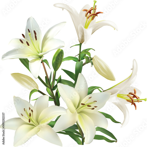 five blooms white lily flowers bunch
