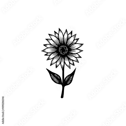 Elegant sunflower blossom rendered in classic monochrome linework artistry